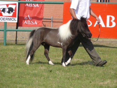 Silverado in Senior Class